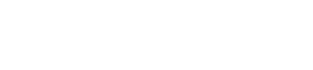 Wisesight