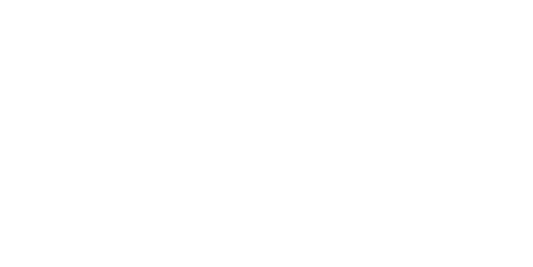 Wisesight inverted logo